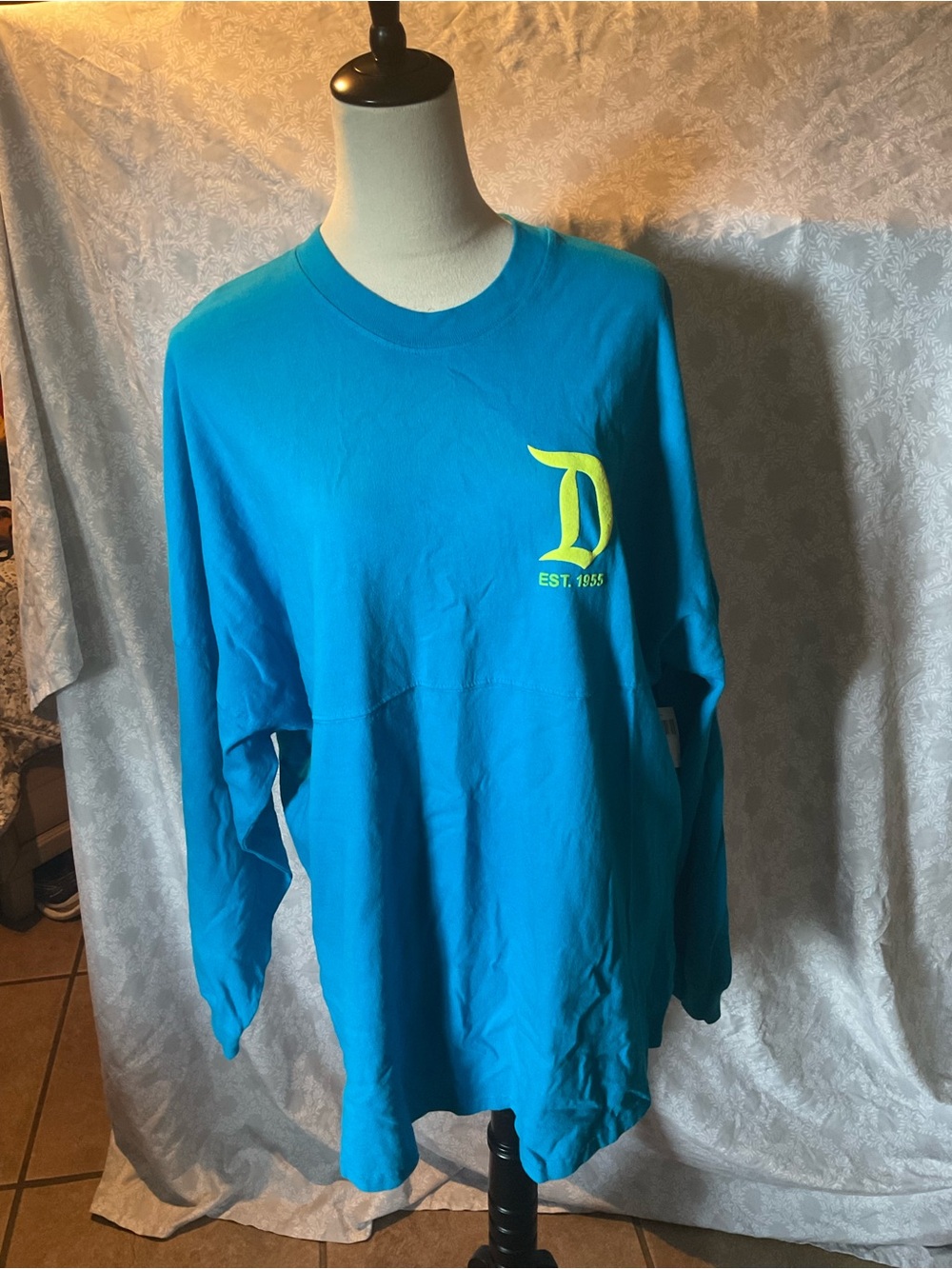 Disney Spirit Jersey